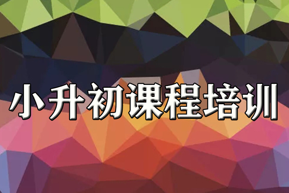 淄博小升初课程培训