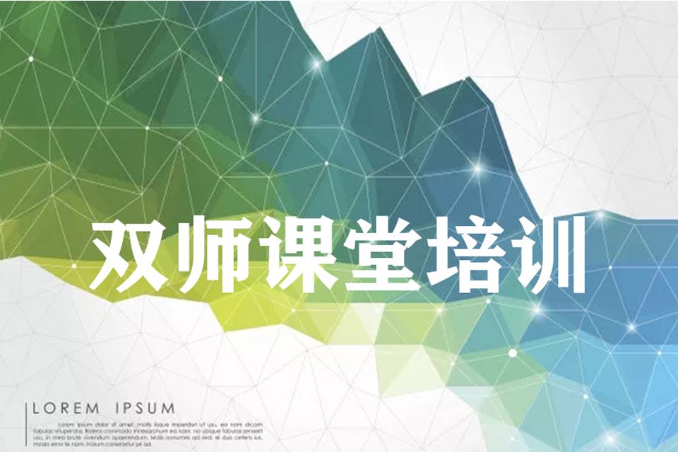 淄博双师课堂培训