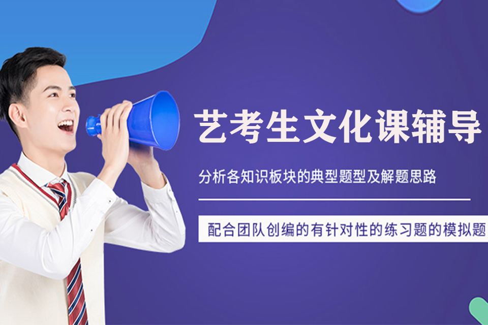 北京艺考生文化课辅导