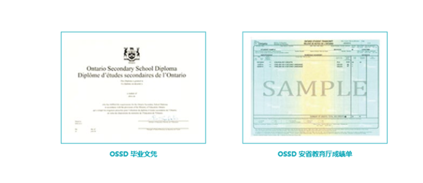 OSDD海外留学申请