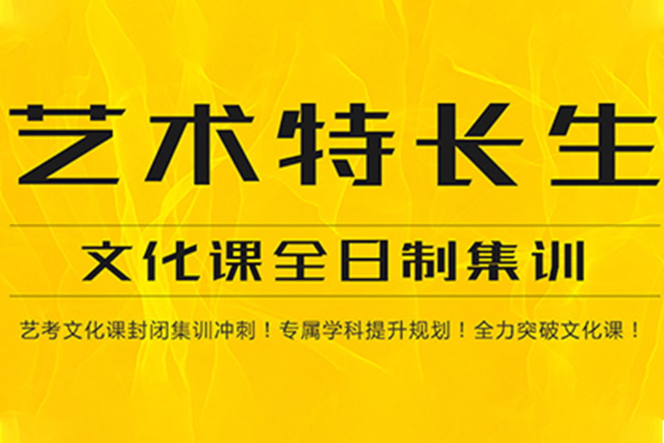 郑州艺考文化课辅导
