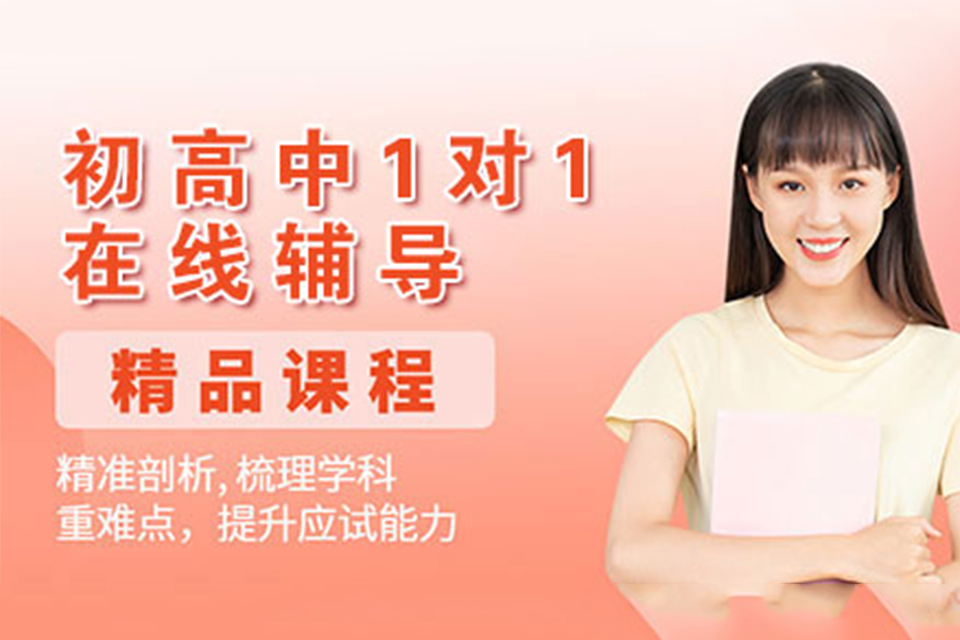 北京初高中1对1在线辅导