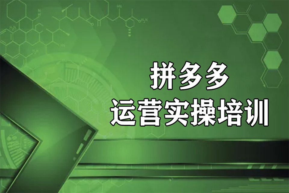 金华拼多多运营实操培训