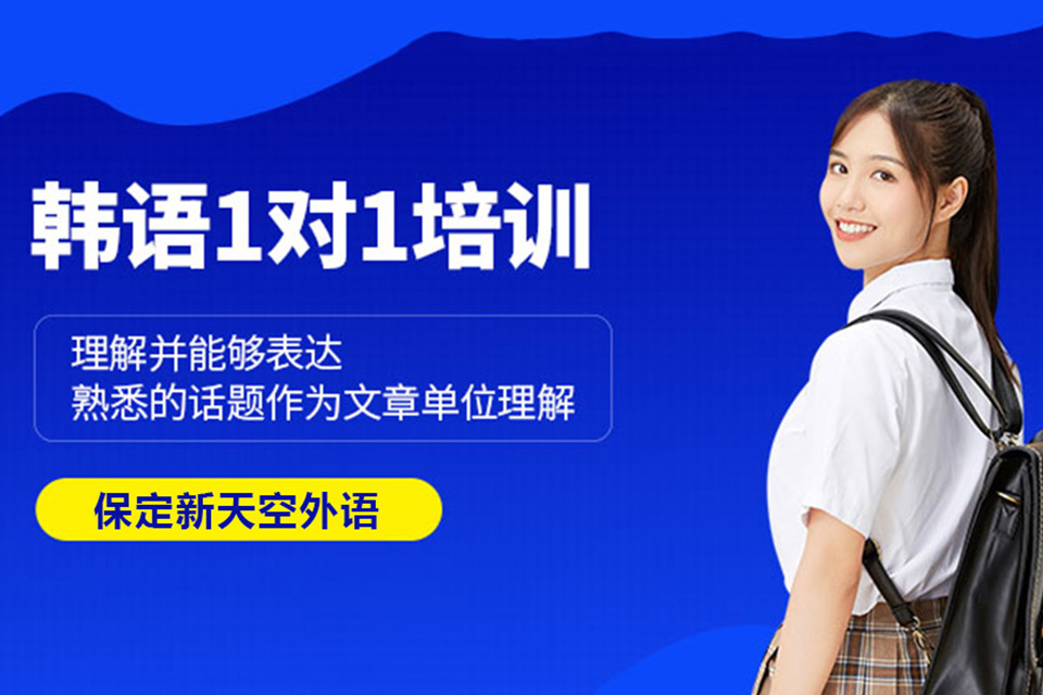 天津韩语VIP一对一培训