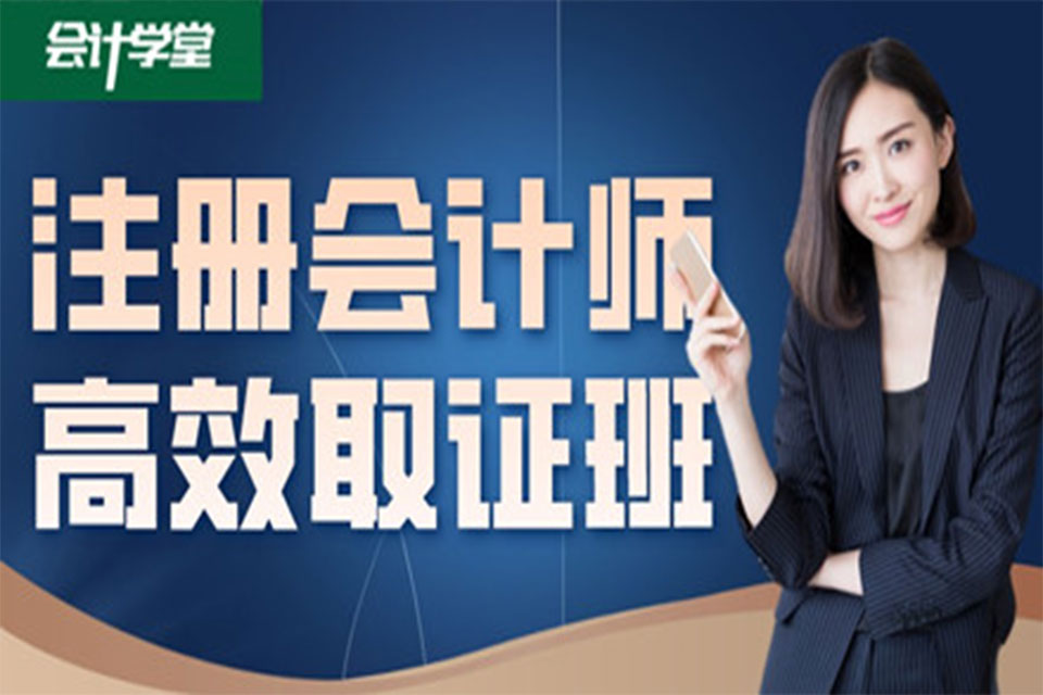 沧州注册会计师高效取证班