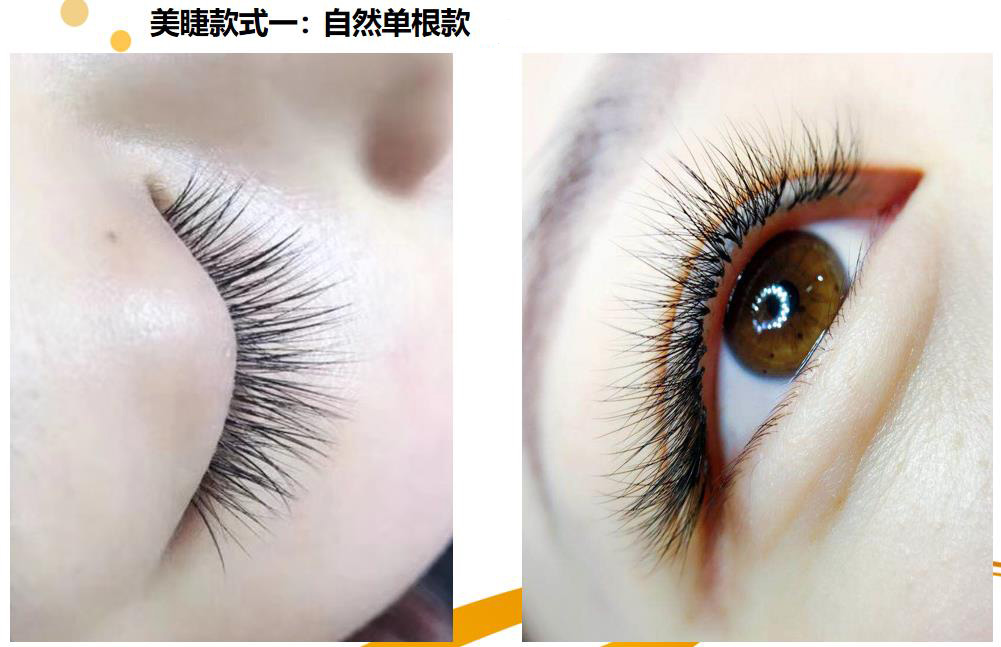 美睫全科班