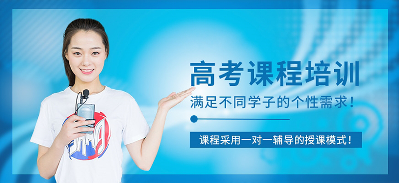 高考一对一辅导