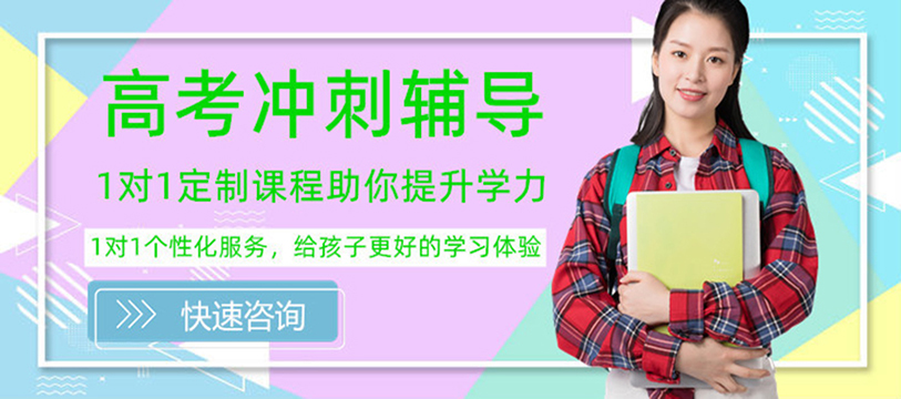 高考一对一辅导