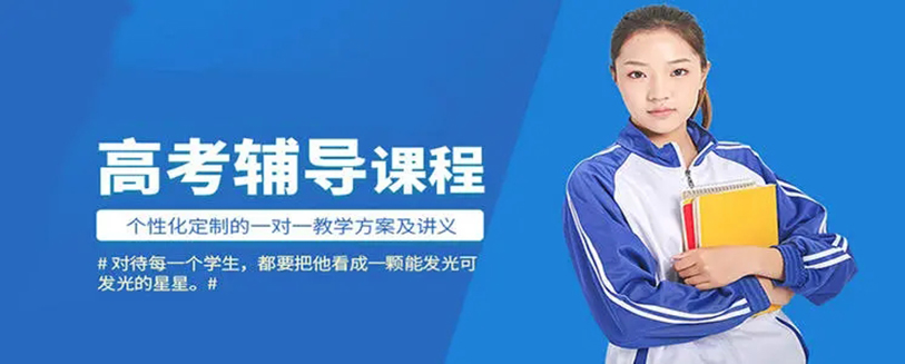 高考一对一辅导