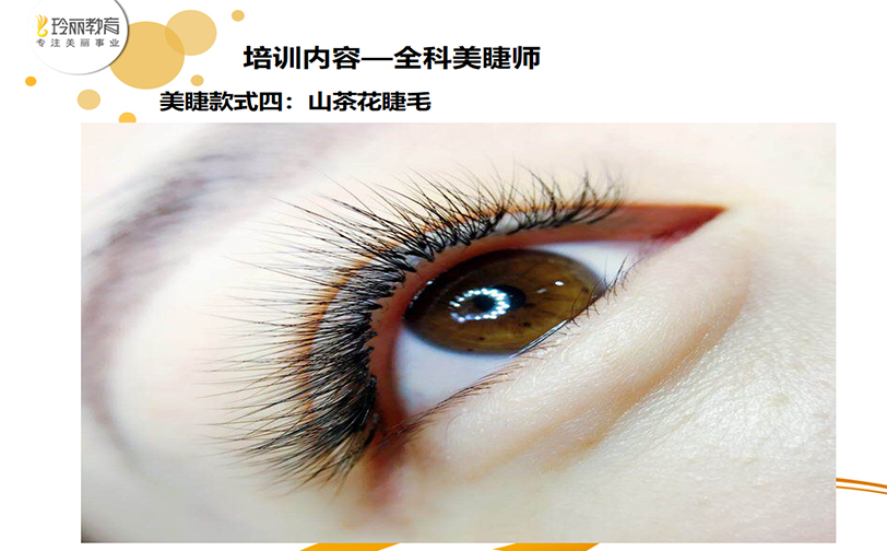 美睫全科班
