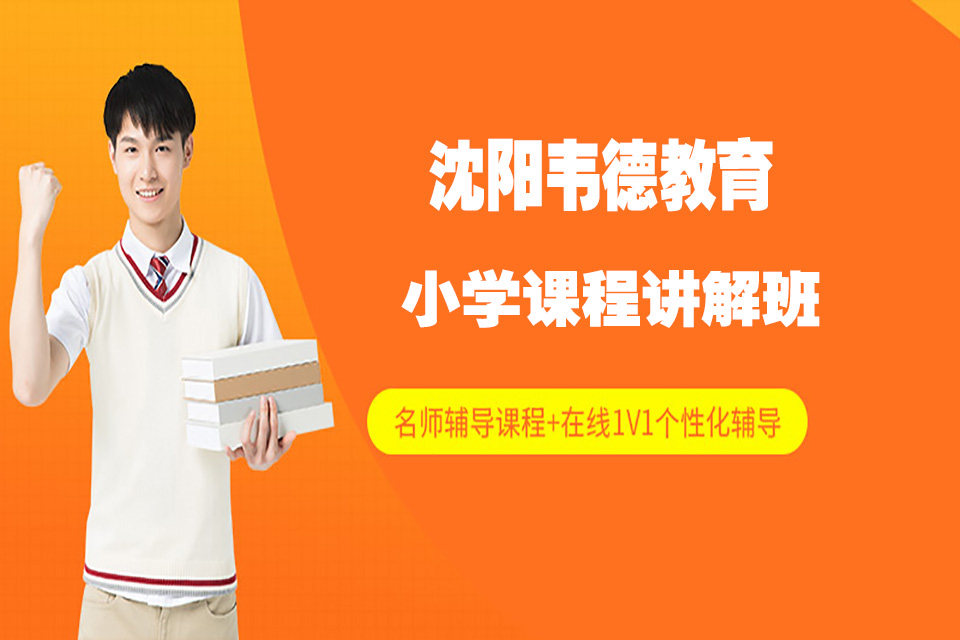 沈阳小学课程讲解班