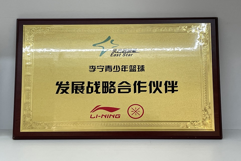 东方启明星（大关百安居）资质荣誉