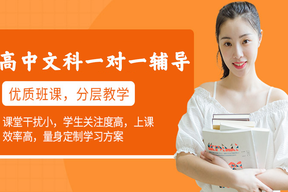 高中文科一对一辅导