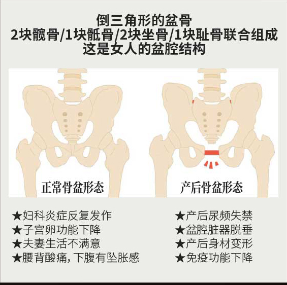 高端塑形培训