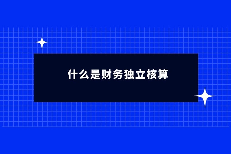 什么是财务独立核算