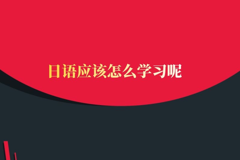 日语应该怎么学习呢