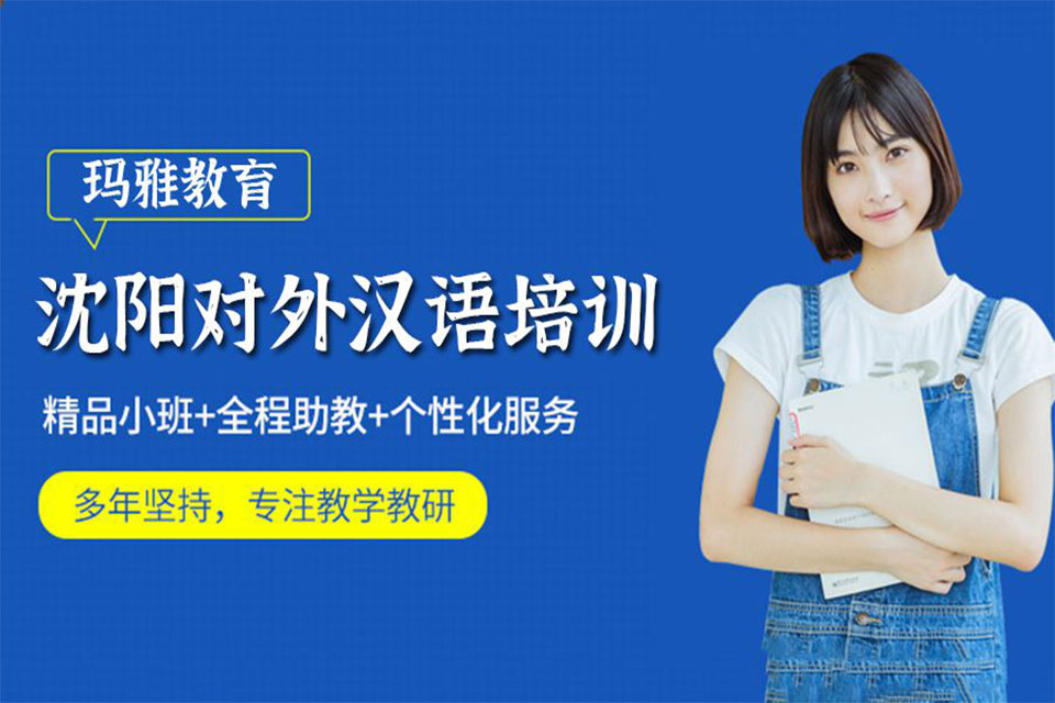 沈阳对外汉语培训