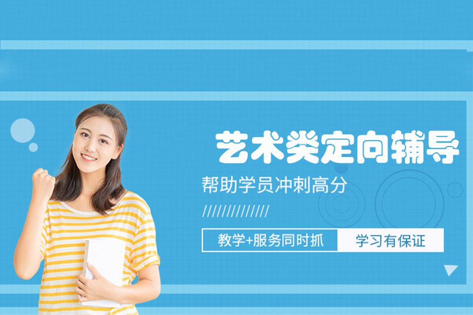 北京艺术类定向辅导