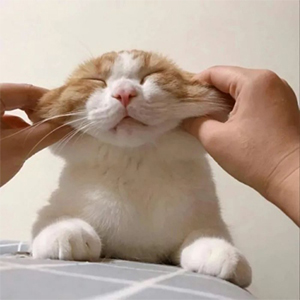 云*