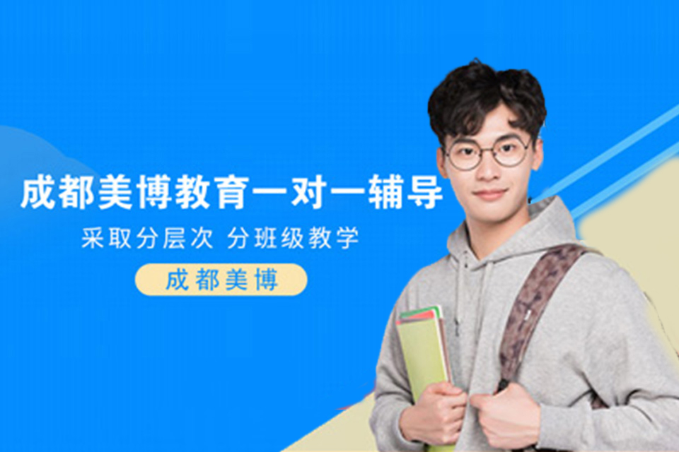 成都一对一辅导课程培训