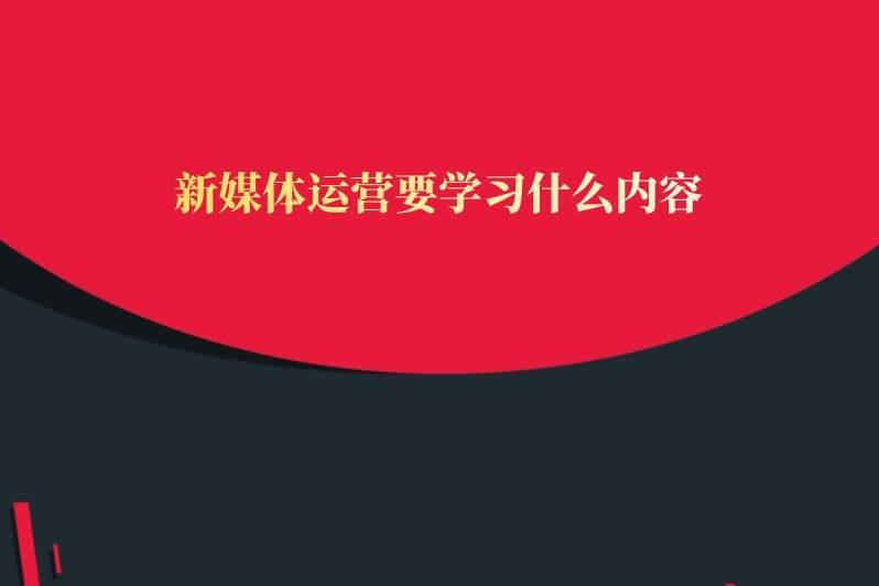 新媒体运营要学习什么内容