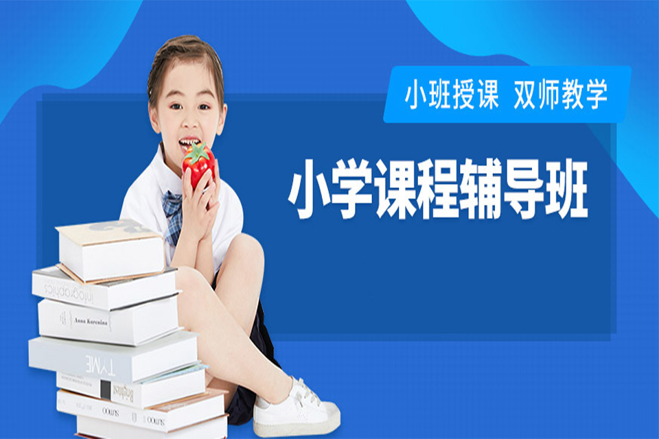 北京小学辅导课
