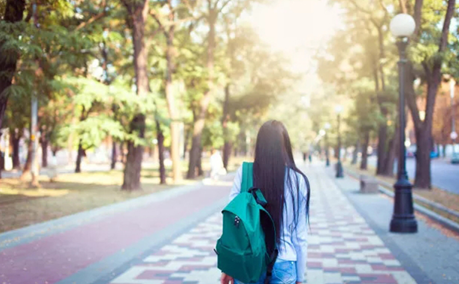 美研直通车培训