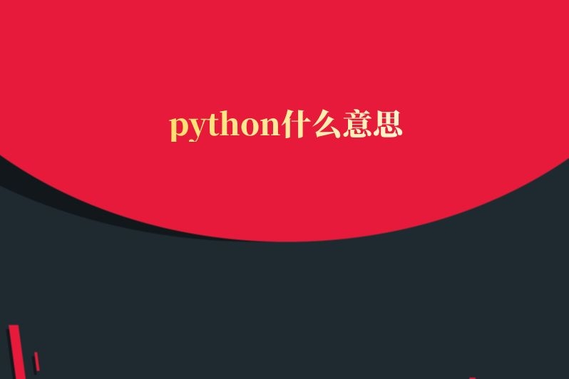 python什么意思