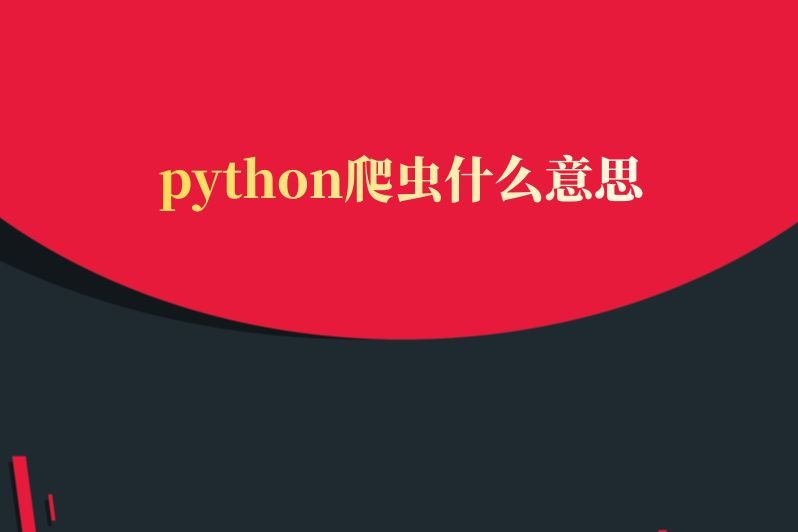 python爬虫什么意思