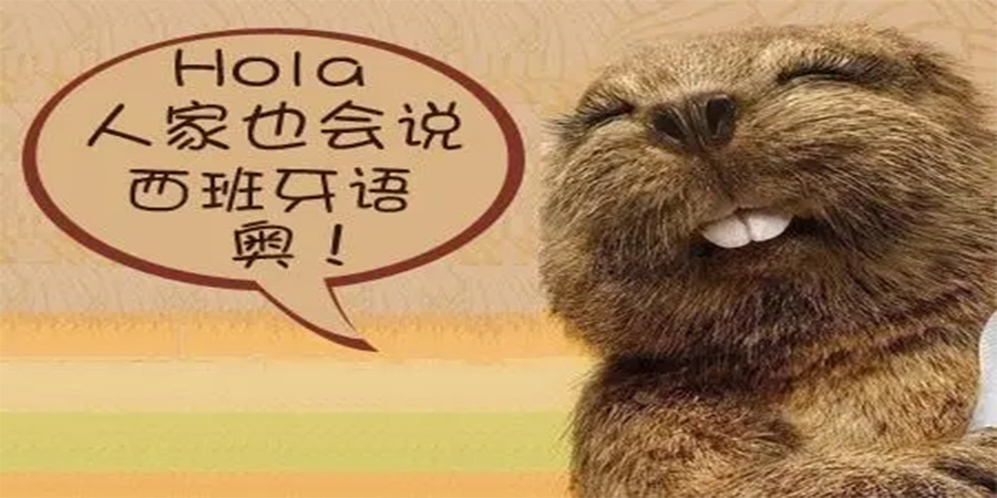 西班牙语培训