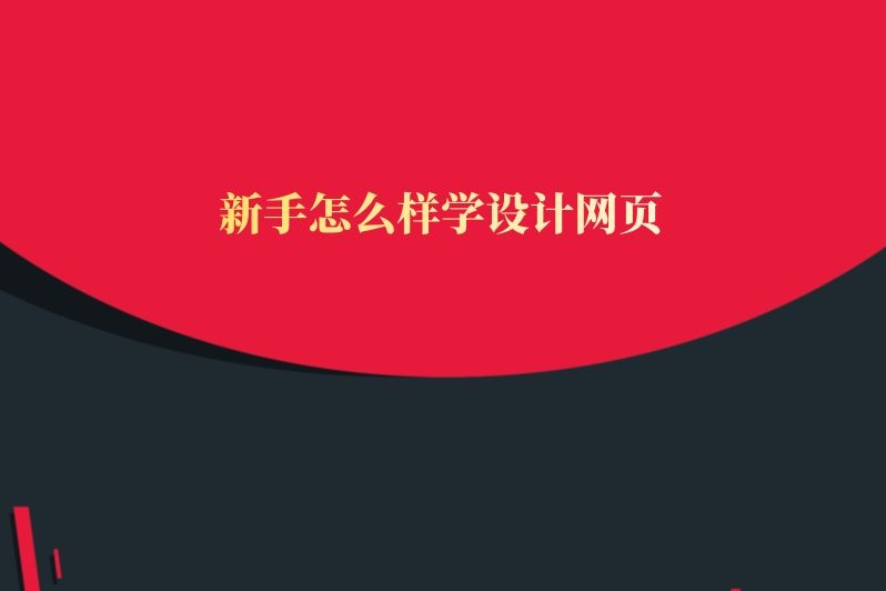 新手怎么样学设计网页