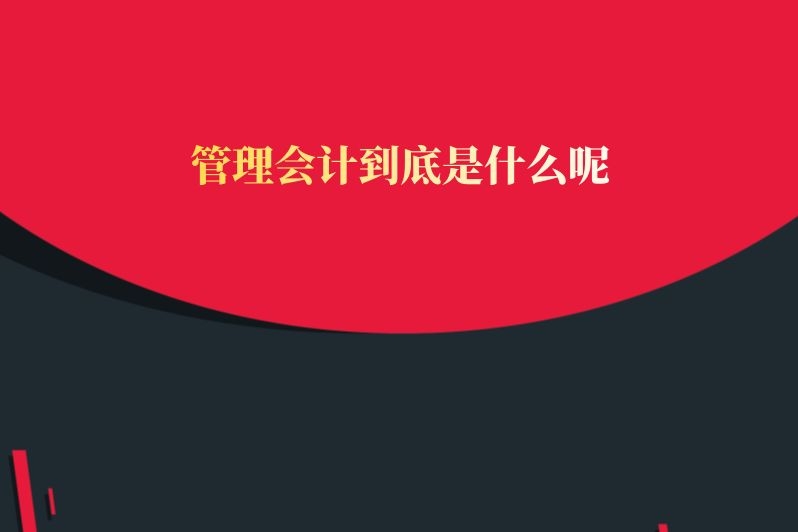 管理会计到底是什么呢