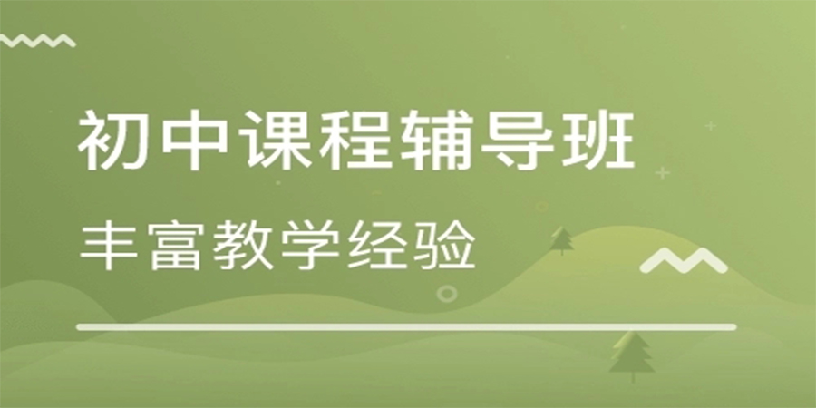 初中辅导课程