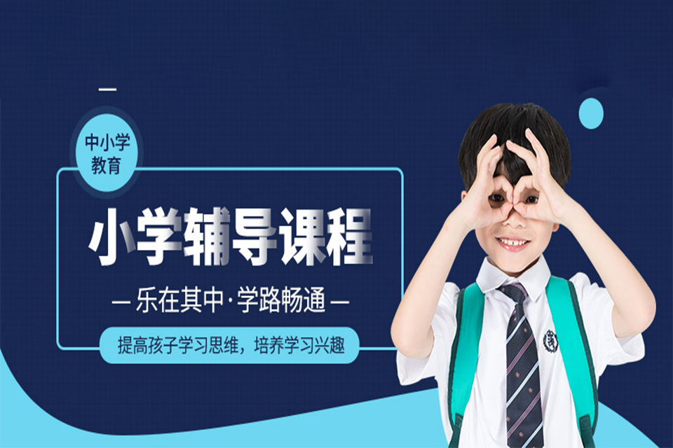 成都小学辅导课程