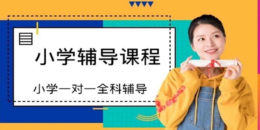小学辅导课程