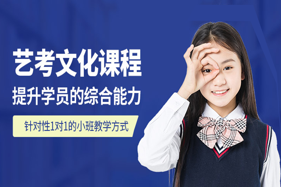 成都艺考文化课培训