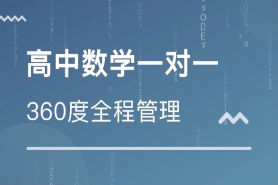 成都高中数学1对1提升课