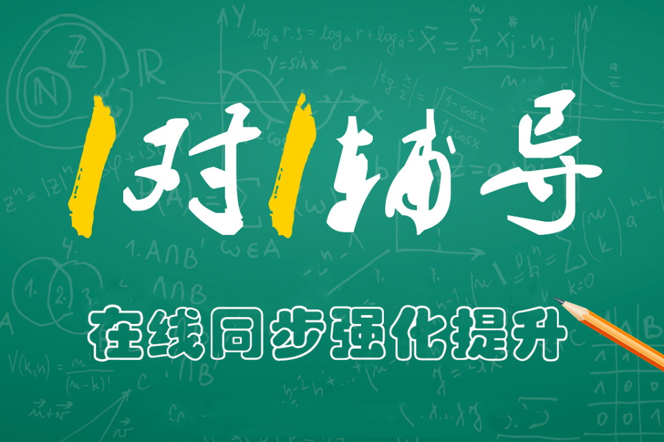 1对1在线辅导