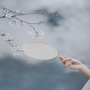 然*夢