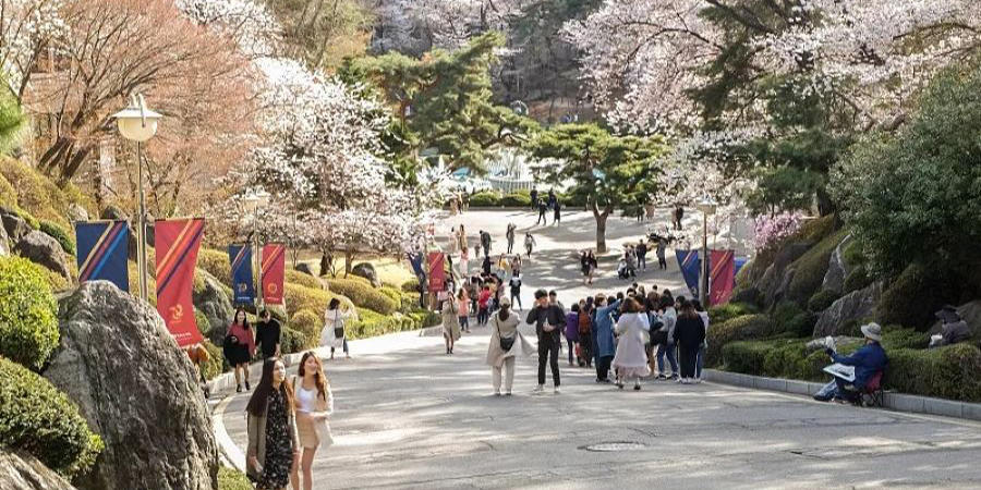日本游学培训