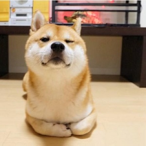 真***完