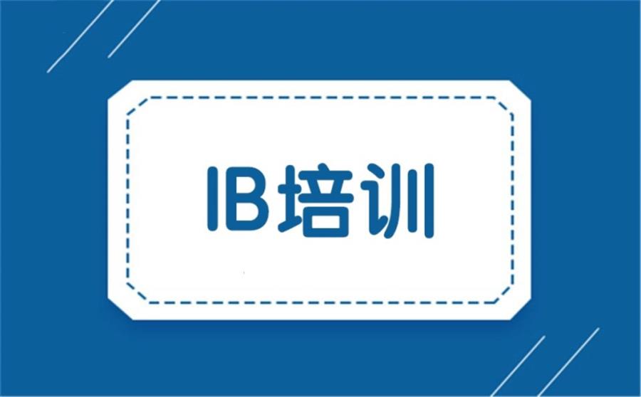 IB课程培训