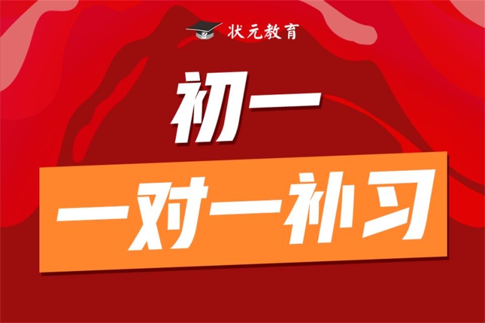 武汉初一一对一补习