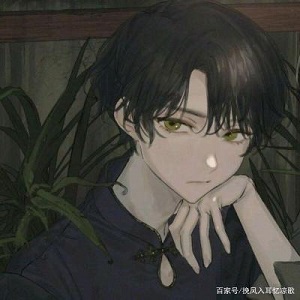 上****猫