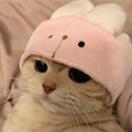 风**淡