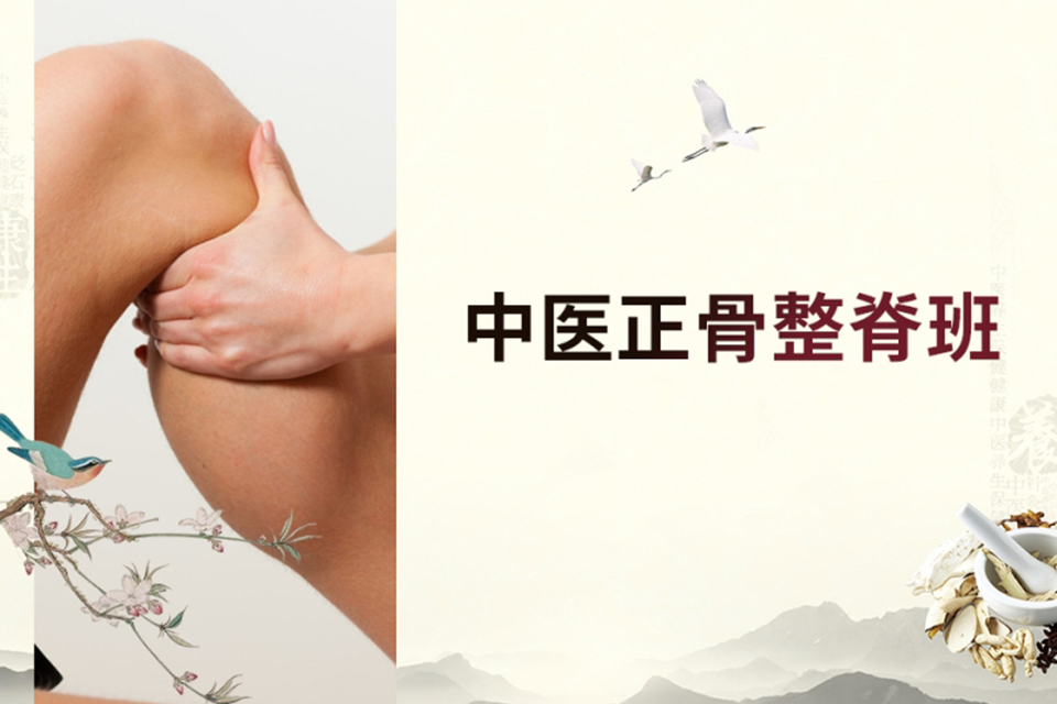 莆田整脊正骨培训班