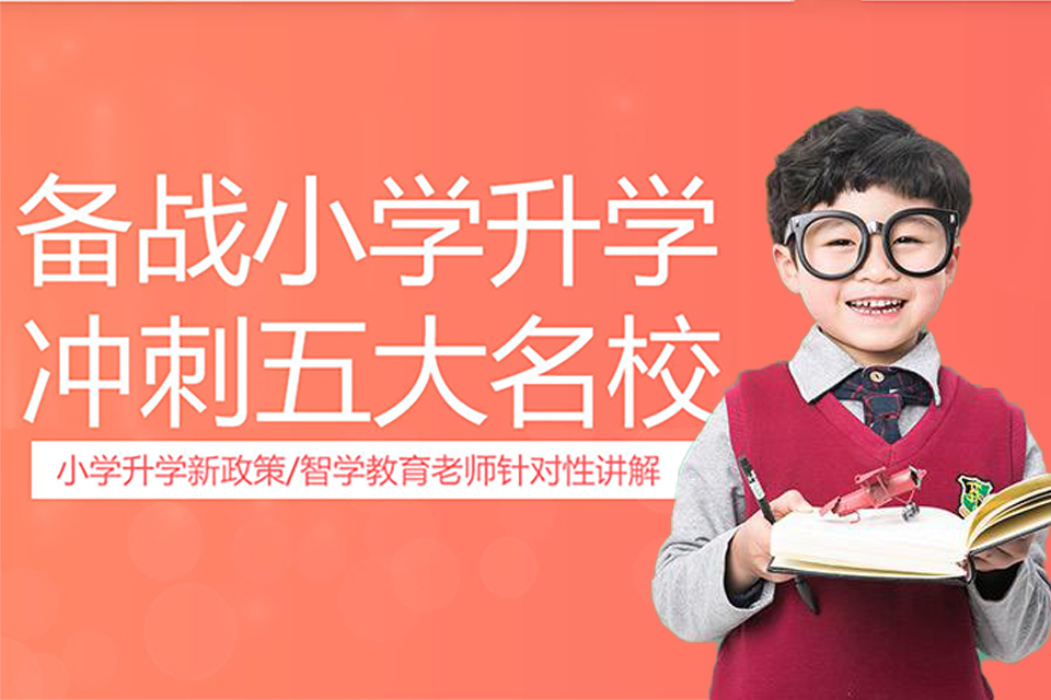 郑州小学辅导班