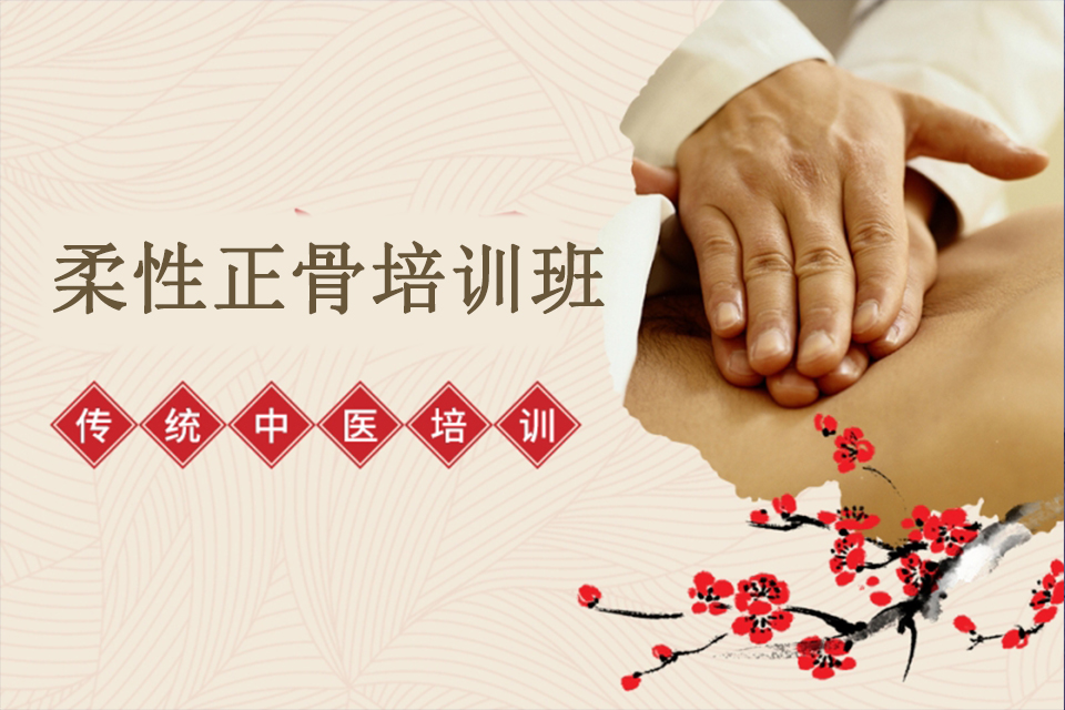 广州柔性正骨培训班