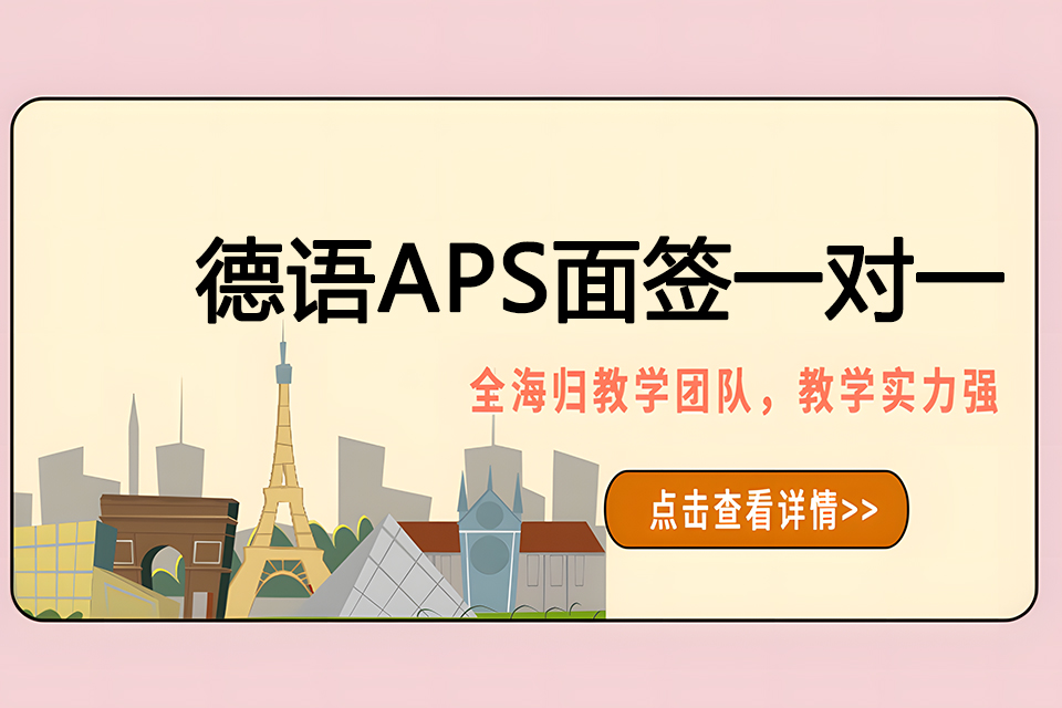 济南德语APS面签一对一
