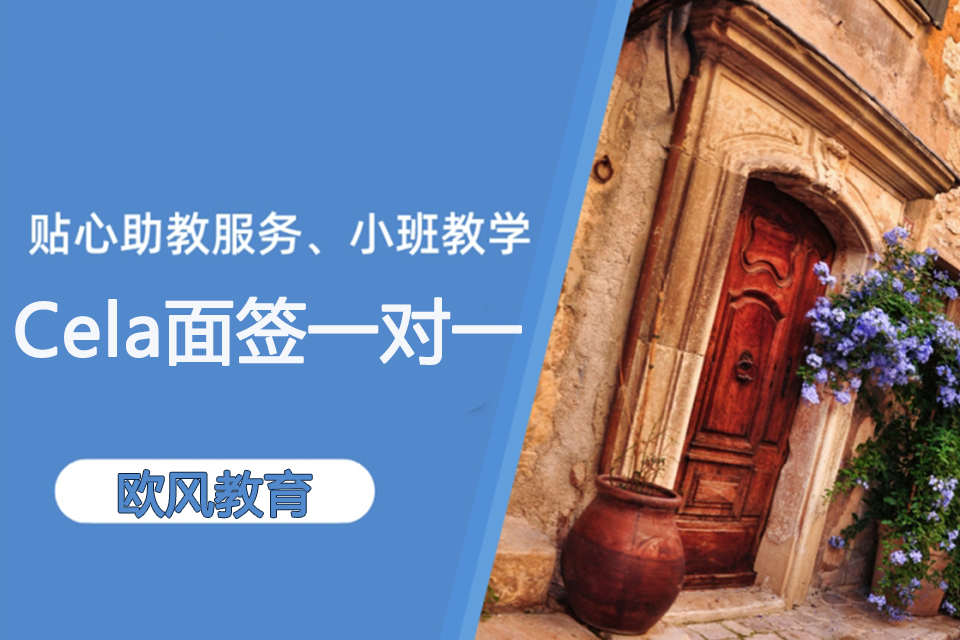 济南Cela面签一对一